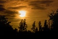 Silhouette big tree with sunset sky Royalty Free Stock Photo