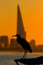 Silhouette of of bird against BWTC Royalty Free Stock Photo