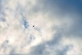 Silhouette of bird flying in blue sky with white clouds Royalty Free Stock Photo