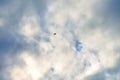 Silhouette of bird flying in blue sky with white clouds Royalty Free Stock Photo