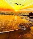 Sunset Ocean Sun Ray Bird Vertical Royalty Free Stock Photo