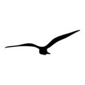 Silhouette of Bird isolate on white background. for web and mobile vector illustration Royalty Free Stock Photo