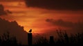 Silhouette Of A Bird Perched On A Post Against A Vibrant Sunset. Tranquil Evening Scene Royalty Free Stock Photo