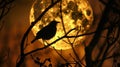 The silhouette of a bird perched on a tree branch is framed against the backdrop of the eclipsed moon creating a