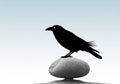 Silhouette of a bird, possibly a Royalty Free Stock Photo