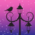 Silhouette of bird sitting on lamppost under the snow