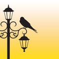 Silhouette of bird sitting on lamppost Royalty Free Stock Photo