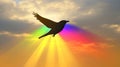 Silhouette bird sunset rainbow flight hope freedom Royalty Free Stock Photo