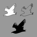 Silhouette of the birds. Black contours of flying birds Royalty Free Stock Photo