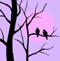 Silhouette of birds sitting on tree branch at sunset
