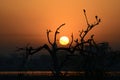 Beautiful Sunrise with Birds Royalty Free Stock Photo