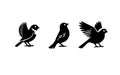 Silhouette of birds Royalty Free Stock Photo