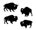 Silhouette of bisons