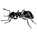 Silhouette of a black ant insect. Linear tattoo style. Design suitable for insect lover logo, parasite icon, tattoo, decor, club
