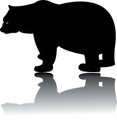 Silhouette of black Bear vector