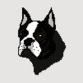 Silhouette of a black Boston Terrier breed dog, head drawn by squares, pixels. The image of the muzzle breed Black Boston Terrier