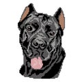 The silhouette of a black dog breed Cane Corso is a muzzle, the head is drawn in the form of squares, pixels