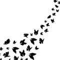 Silhouette Black Fly Flock Of Butterflies. Vector