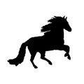 Silhouette of a black horse running,on white background, Royalty Free Stock Photo