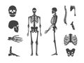 Silhouette Black Human Skeleton and Part Set. Vector