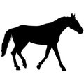 silhouette of black mustang horse vector illustration Royalty Free Stock Photo