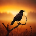 Silhouette of black raven on dead tree branch in misty morning