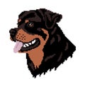 The silhouette of a black Rottweiler breed dog is a muzzle, the head is drawn in squares, pixels.