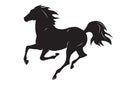 Silhouette of black running horse - vector illustration of horse