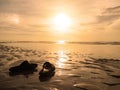 Silhouette black sandals on sand at golden sunset beach Royalty Free Stock Photo