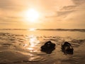 Silhouette black sandals on sand at golden sunset beach Royalty Free Stock Photo