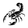 Silhouette of black scorpion, on white background, Royalty Free Stock Photo