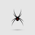 Silhouette of black spider.Spider close-up. Vector spider