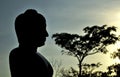 A silhouette of a black stone Buddhist Buddha statue in the nature with a large tree in the background in the evening. Royalty Free Stock Photo