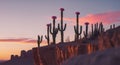 Silhouette of Blooming Cacti on Desert Cliff at Sunset Royalty Free Stock Photo