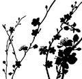 Silhouette Blossom Flowers Background Pattern Royalty Free Stock Photo
