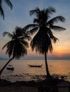 Silhouette of a boat and palm trees against the setting sun with clouds Royalty Free Stock Photo