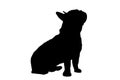 Silhouette of the body of a French bulldog sitting on the side