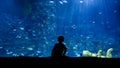 Silhouette of boy looking on fishes and big wall size aquarium. 23rd of March, 2023, Istanbul, Turkey, Sea Life Aquarium Royalty Free Stock Photo