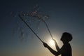 Silhouette boy playing witah a bubble wand Royalty Free Stock Photo