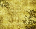 Silhouette of branches of bamboo on paper backgr