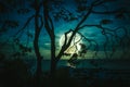 Silhouette branches of trees against sky and full moon above sea