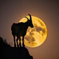 The silhouette of a brave goat backed by the glow of a fullmoon confidently exploring the unknown. Zodiac Astrology