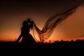 Silhouette of bride and groom kissing at sunset. The veil is flying