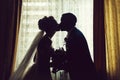 Silhouette of bride and groom