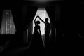 Silhouette of bride and groom by the window Royalty Free Stock Photo