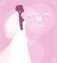 Silhouette of bride in wedding dress and veil