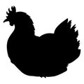 Silhouette of brood hen