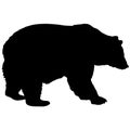 Silhouette brown bear on a white background