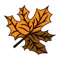 Silhouette brown color with middle shadow of dried leaves maple