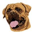 Silhouette of a brown dog Bultmastif breed, muzzle, portrait painted in the form of squares, pixels